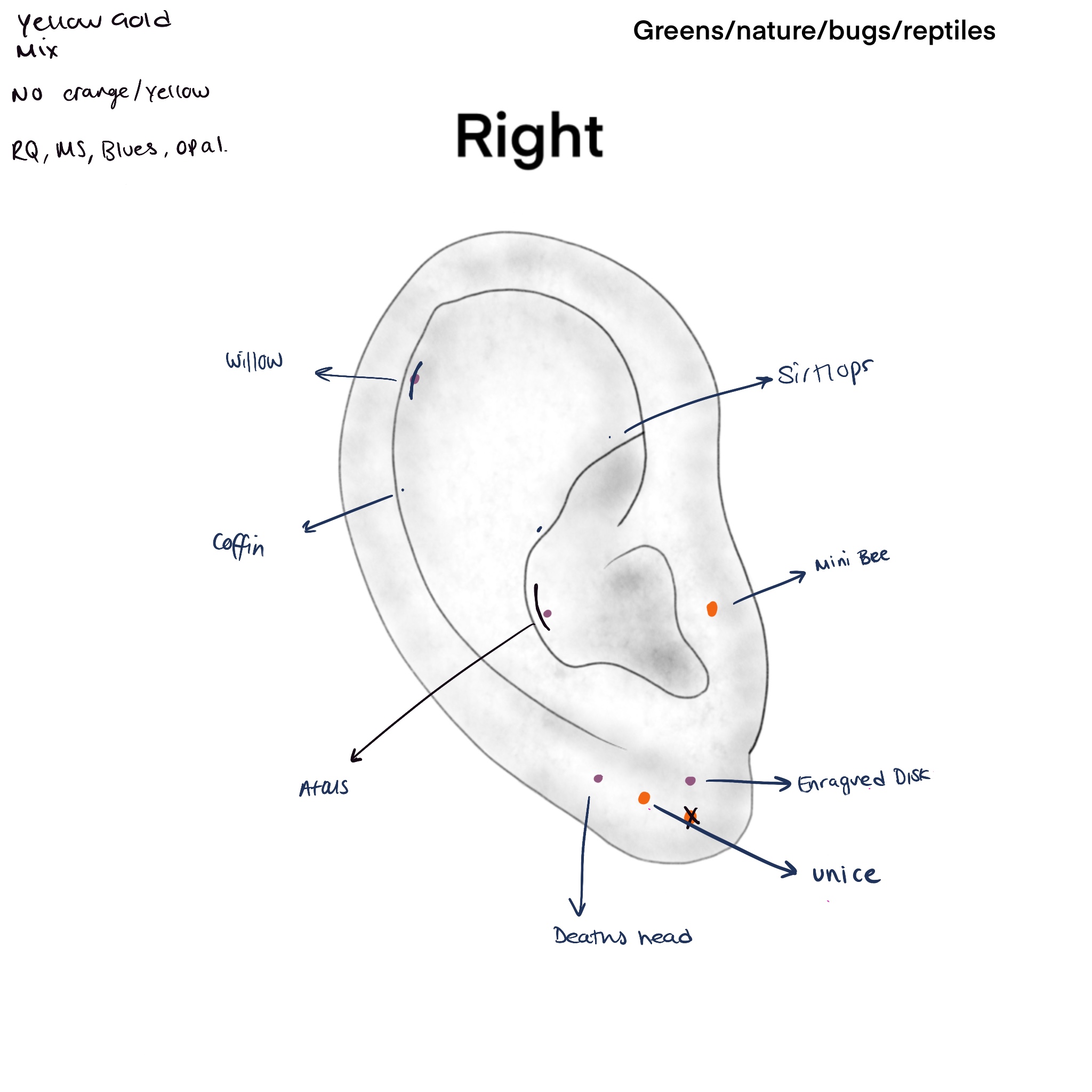 Jen's ear curation design sheet showing planned placements and jewellery choices