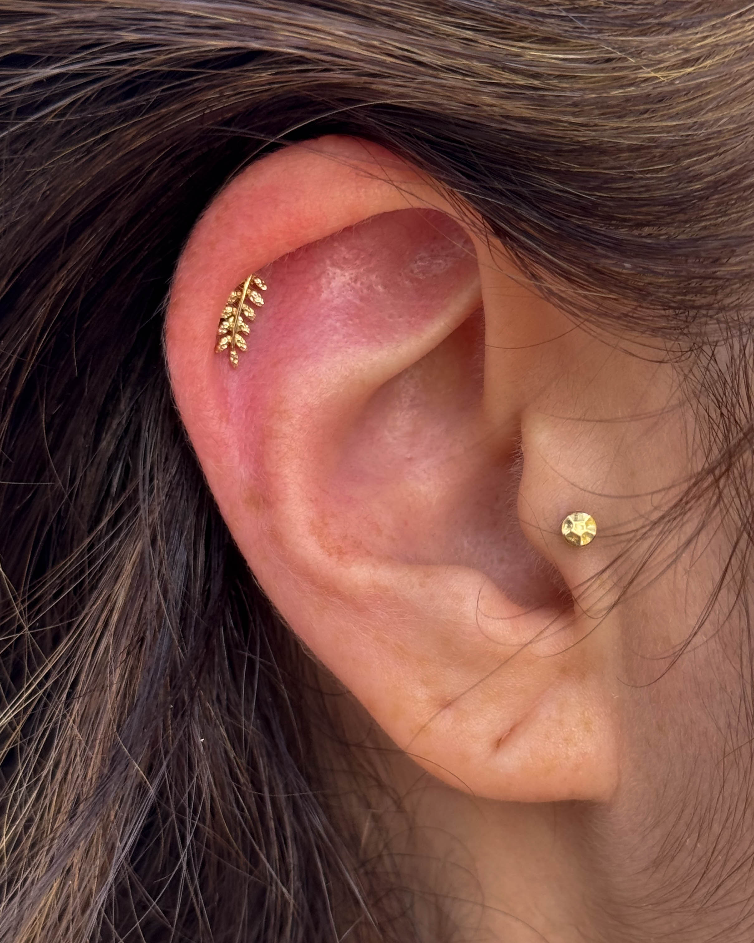 Jen's ear after the first session of her ear curation journey